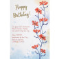 CARTE VOEUX BSB HAPPY BIRTHDAY