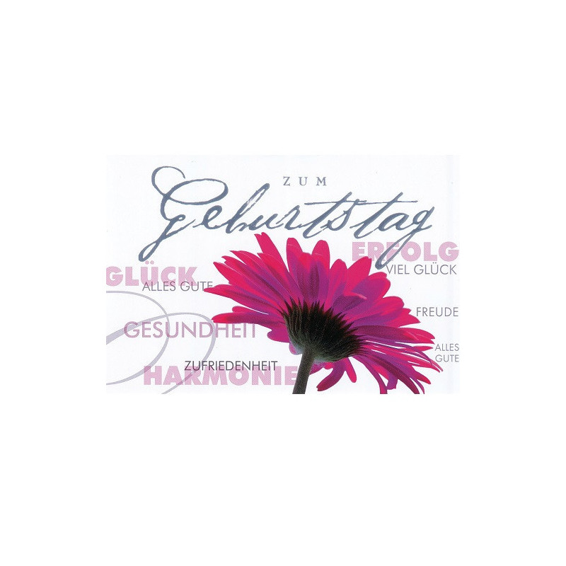 CARTE VOEUX BSB HAPPY BIRTHDAY