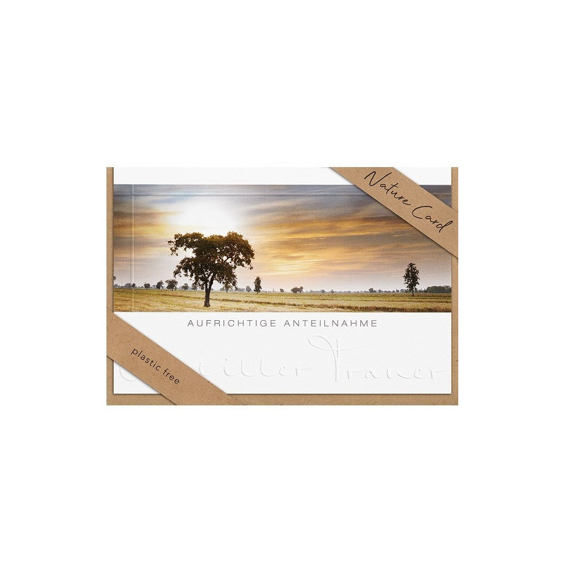 CARTE VOEUX BSB NATURE CARD CONDOLEANCES