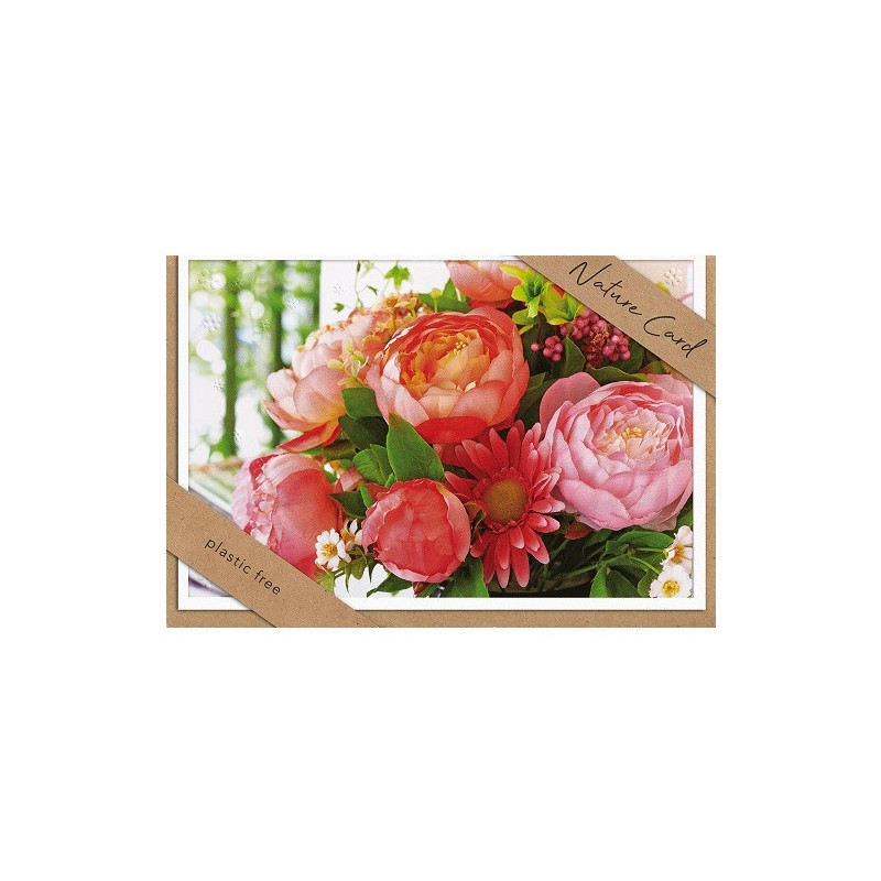 CARTE VOEUX BSB NATURE CARD GENERAL CONGRATULATIONS