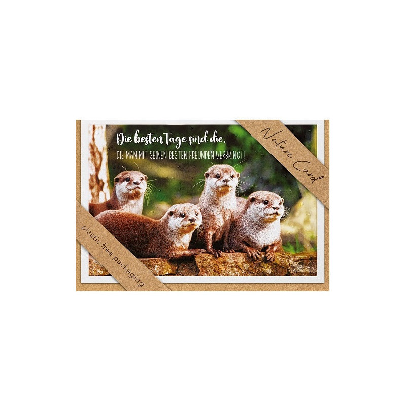 CARTE VOEUX BSB NATURE CARD GENERAL CONGRATULATIONS