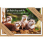 CARTE VOEUX BSB NATURE CARD GENERAL CONGRATULATIONS
