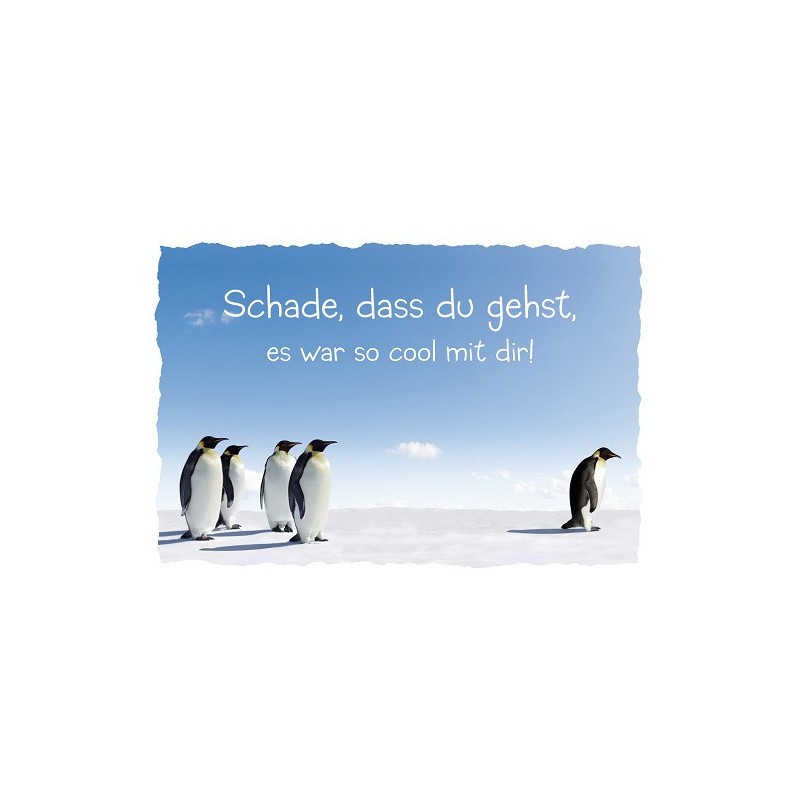 CARTE VOEUX BSB DEPART