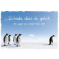 CARTE VOEUX BSB DEPART
