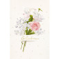 CARTE VOEUX BSB NATURE CARD VOUCHER