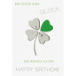 CARTE VOEUX BSB HAPPY BIRTHDAY