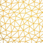 PAPIER CADEAU BSB GOLD GRAPHIC