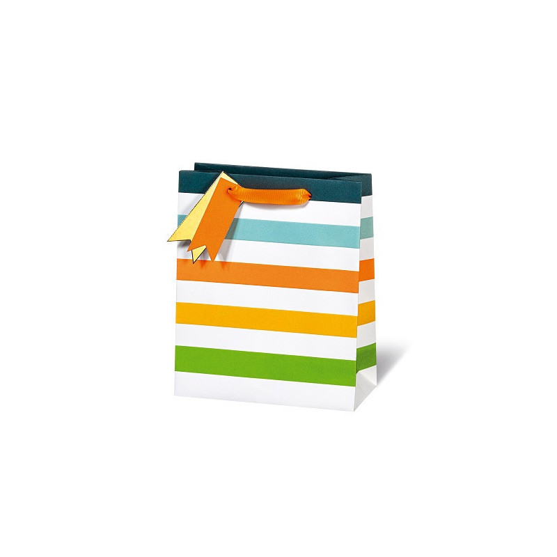 SACHET BSB 23X19X9CM NEON STRIPES