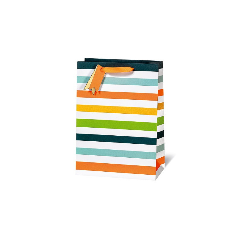 SACHET BSB 36X26X14CM NEON STRIPES