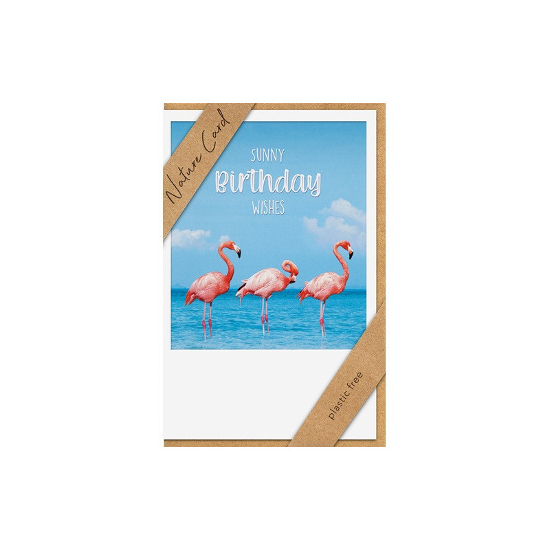 CARTE VOEUX BSB NATURE CARD HAPPY BIRTHDAY