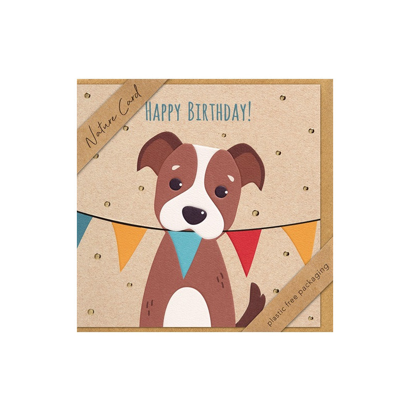 CARTE VOEUX BSB NATURE CARD HAPPY BIRTHDAY