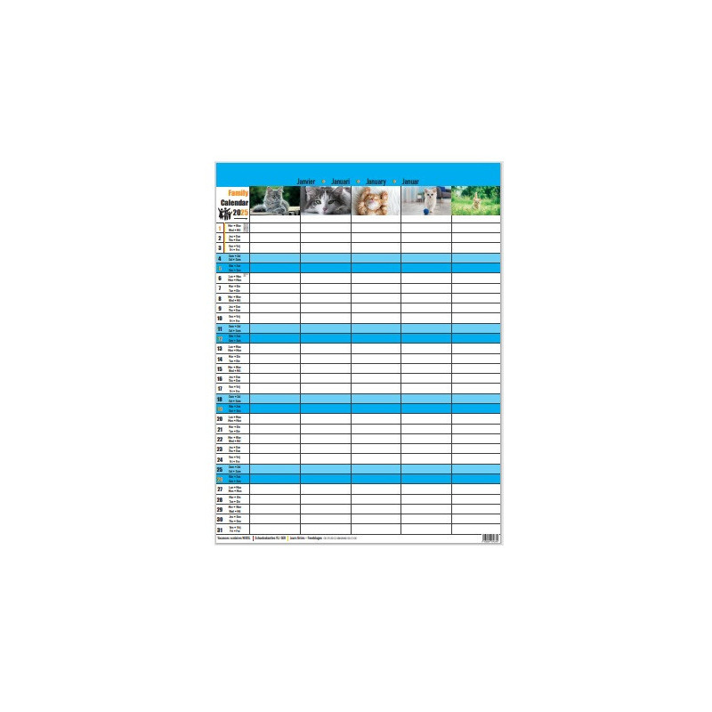 CALENDRIER MOIS FAMILY 43X55CM