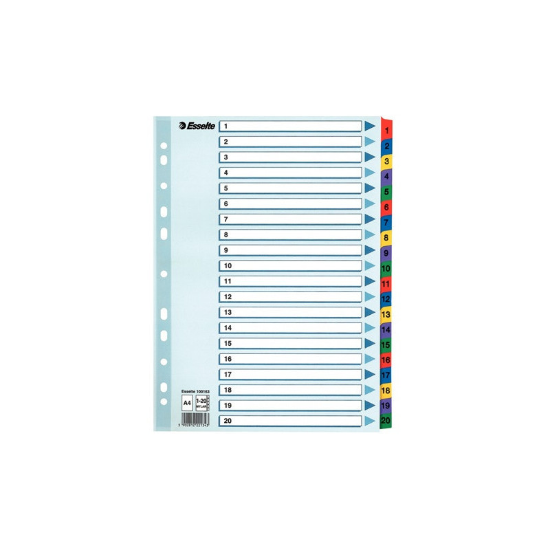 INTERCAL. A4 NUMER. CART. 1-20 ESSELTE