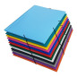 FARDE A ELAST.+RABATS A4 PP DOC.OP. ASS.24PCS