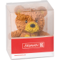 GOMME BRUNNEN FUN BEAR