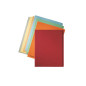 CHEMISE CART. A4 300G ESSELTE CHAMOIS B+