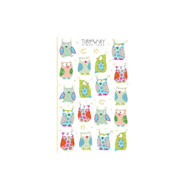 AUTOCOLLANT BSB DECO-STICKER TURNOWSKY HIBOUX