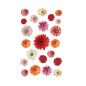 AUTOCOLLANT BSB DECO-STICKER FLEURS