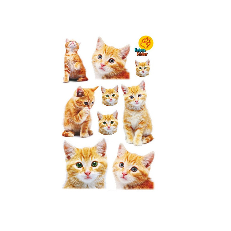 AUTOCOLLANT BSB DECO-STICKER CHATONS