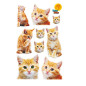 AUTOCOLLANT BSB DECO-STICKER CHATONS