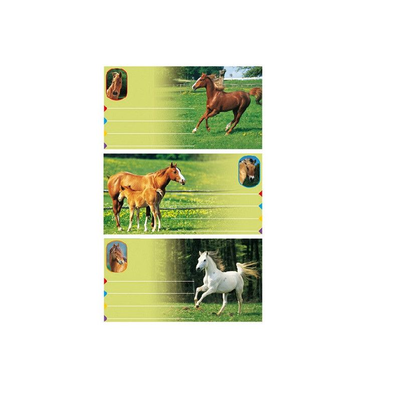 AUTOCOLLANT BSB SCHOOL-STICKER CHEVAUX