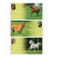 AUTOCOLLANT BSB SCHOOL-STICKER CHEVAUX
