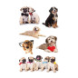 AUTOCOLLANT BSB DECO-STICKER CHIENS