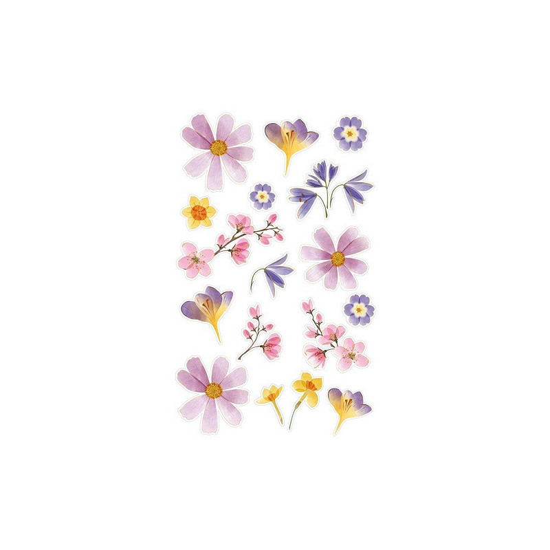 AUTOCOLLANT BSB DECO-STICKER TURNOWSKY FLEURS