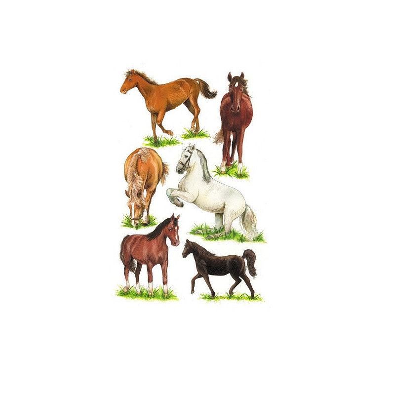 AUTOCOLLANT BSB DECO-STICKER CHEVAUX