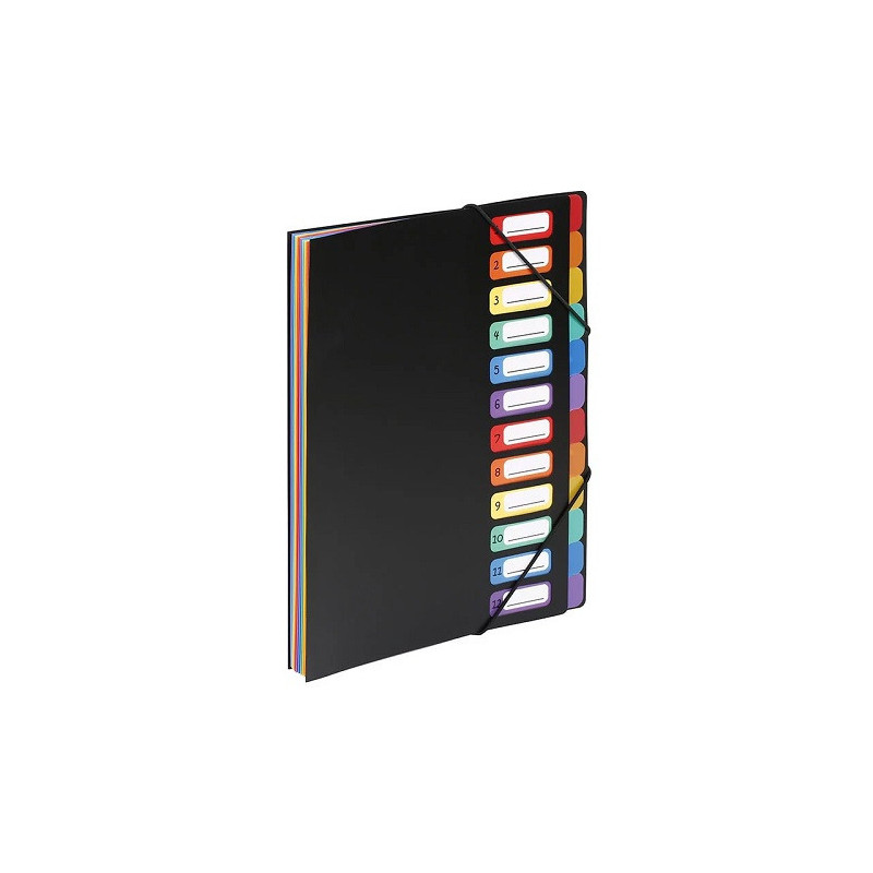 TRIEUR VIQUEL 12 COMP. NOIR