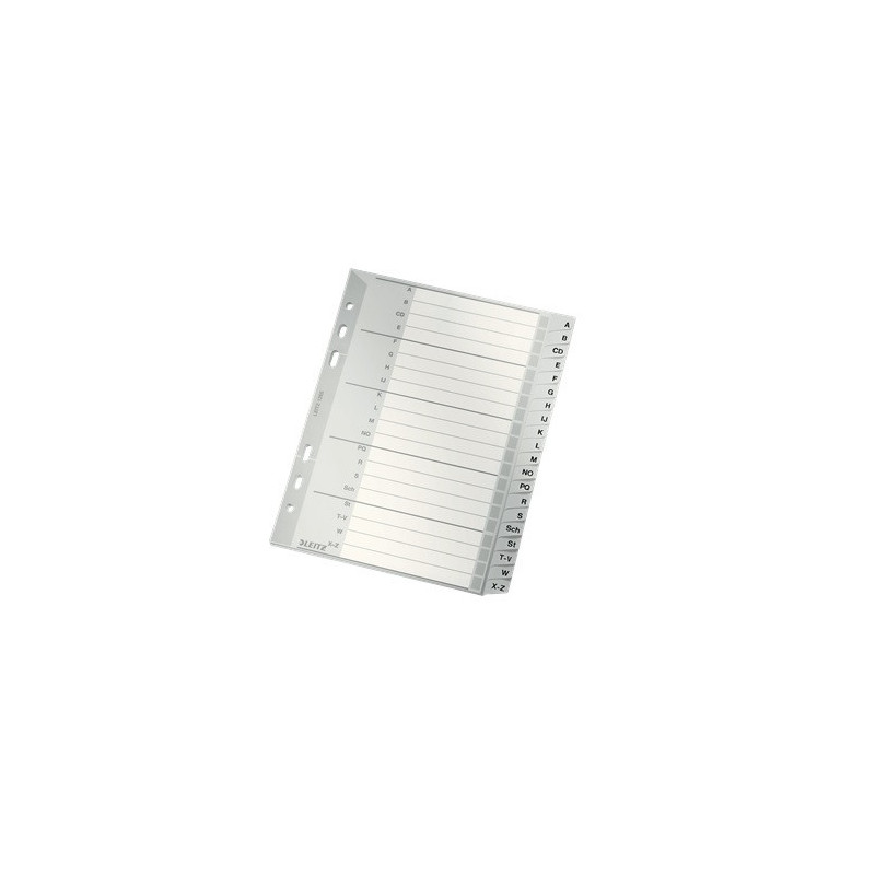 INTERCAL. A5 ALPHA. PLAST. GRIS LEITZ
