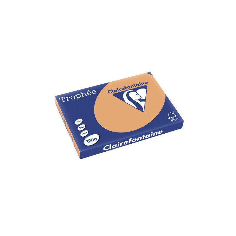PAPIER REPRO CLAIREF. TROPHEE A3 120G CARAMEL 250FLS