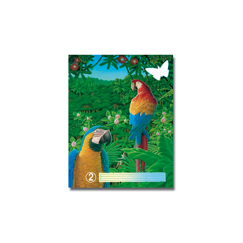 CAHIER AURORA PIQ. A5 36FLS FOR. VIERGE NR.2