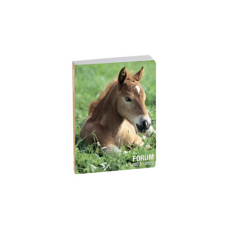 AGENDA SCOLAIRE EXACOMPTA ANIMAUX