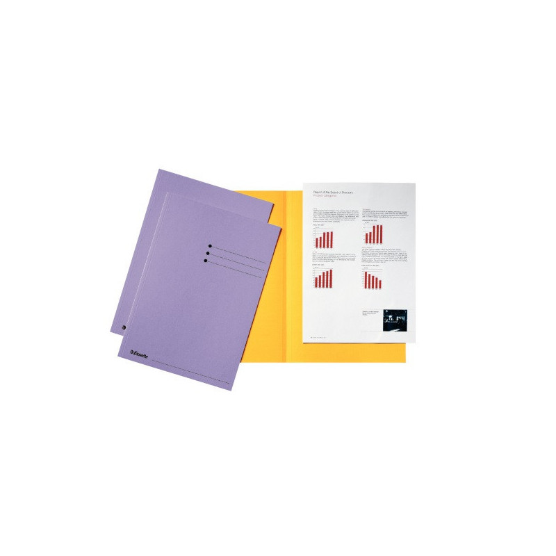CHEMISE CART. A4 180G ESSELTE LILAS B