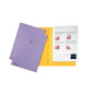 CHEMISE CART. A4 180G ESSELTE LILAS B