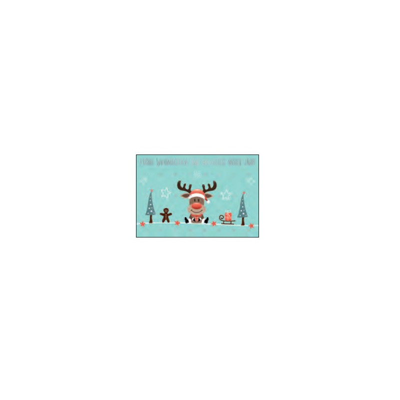 CARTE VOEUX NOEL BSB