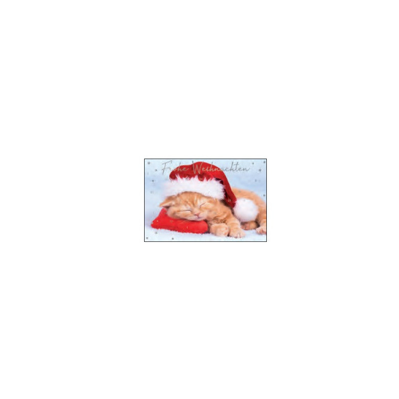 CARTE VOEUX NOEL BSB