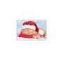 CARTE VOEUX NOEL BSB