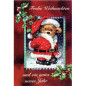 CARTE VOEUX NOEL BSB