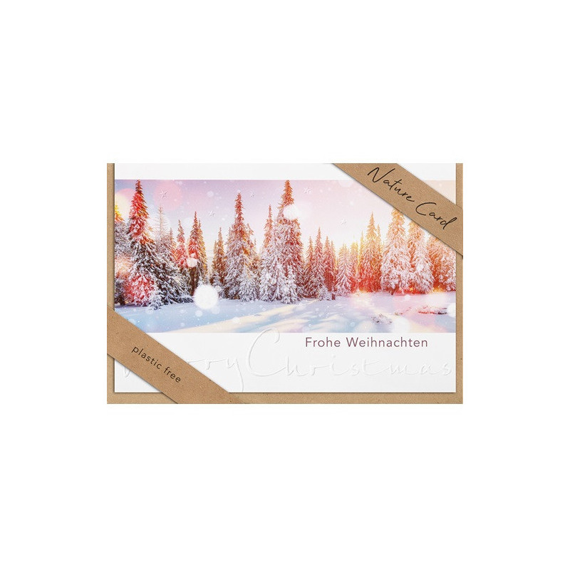 CARTE VOEUX NOEL BSB NATURE CARD