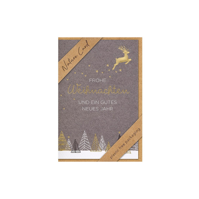 CARTE VOEUX NOEL BSB NATURE CARD