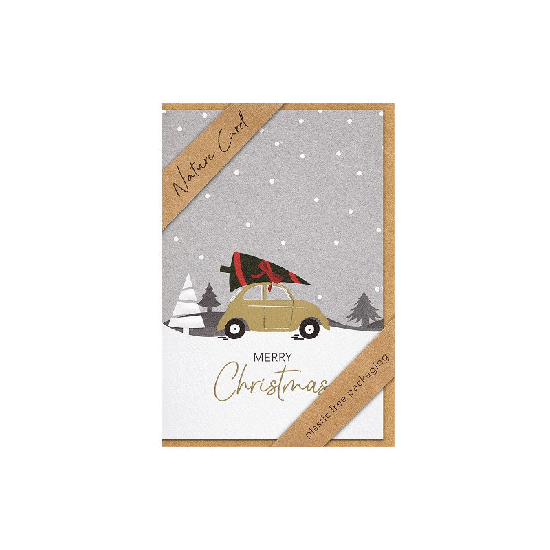 CARTE VOEUX NOEL BSB NATURE CARD