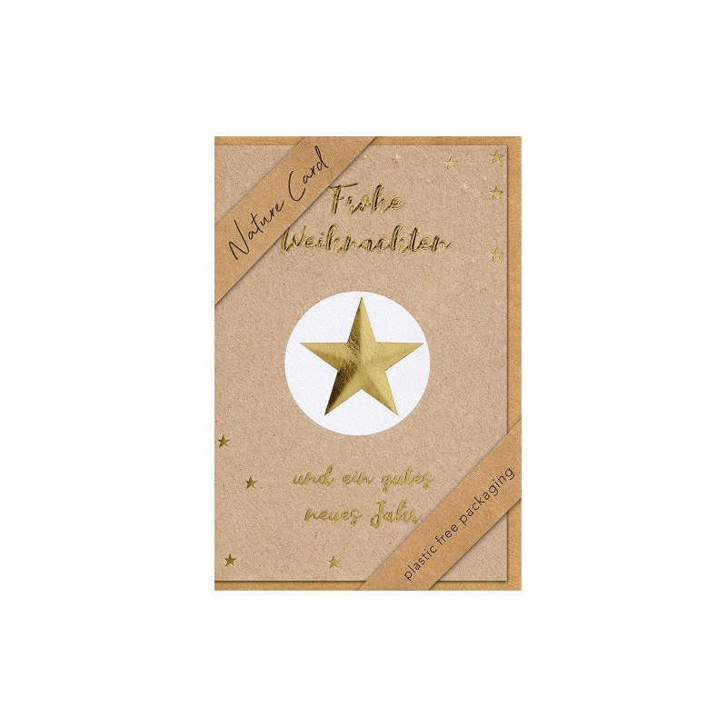 CARTE VOEUX NOEL BSB NATURE CARD