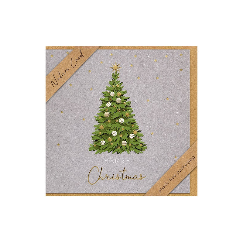 CARTE VOEUX NOEL BSB NATURE CARD