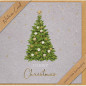 CARTE VOEUX NOEL BSB NATURE CARD