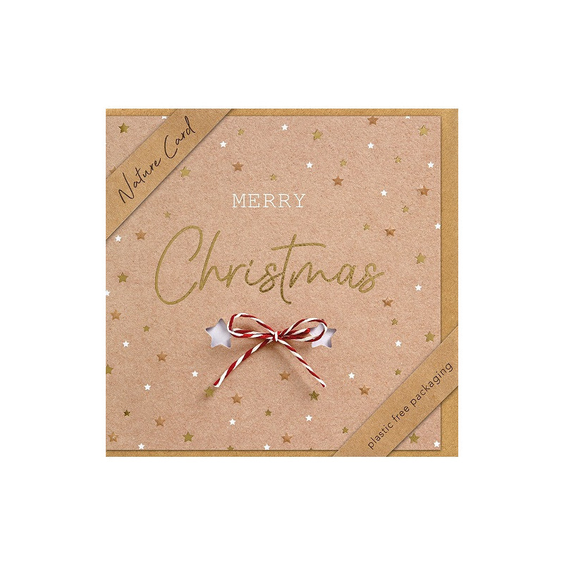 CARTE VOEUX NOEL BSB NATURE CARD