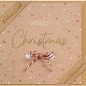 CARTE VOEUX NOEL BSB NATURE CARD