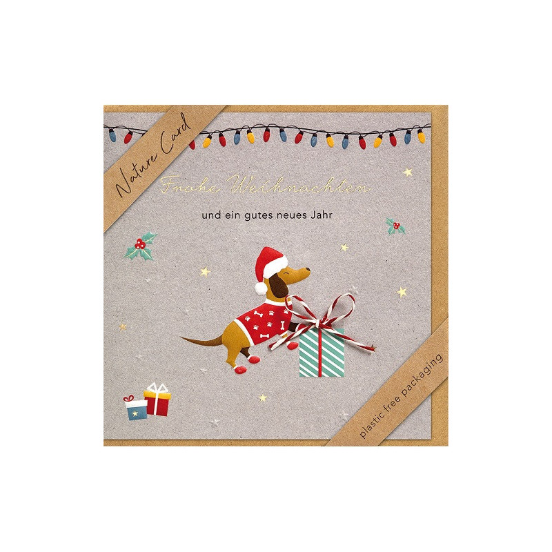 CARTE VOEUX NOEL BSB NATURE CARD
