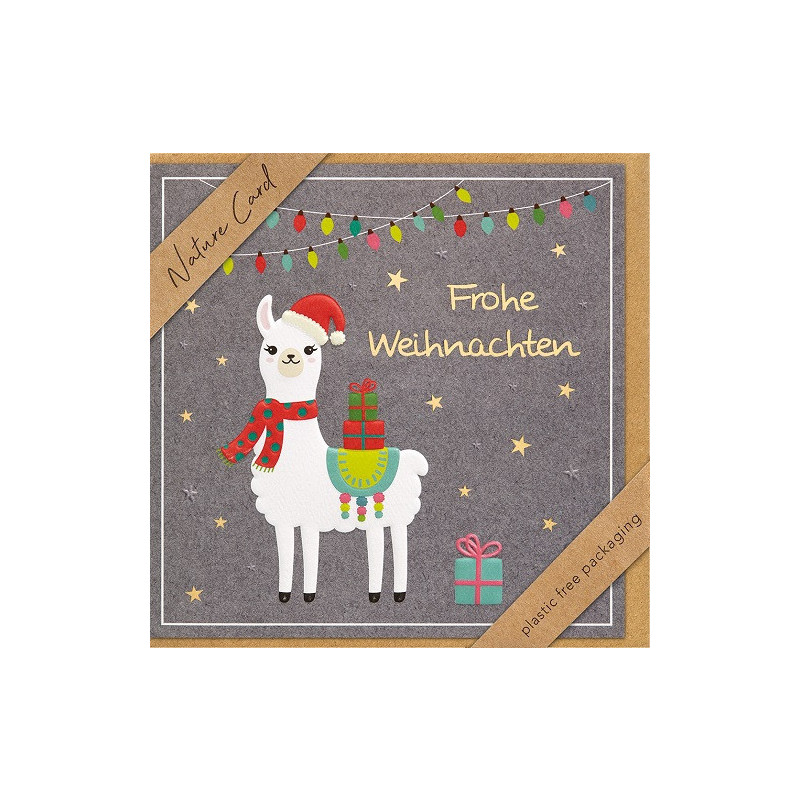 CARTE VOEUX NOEL BSB NATURE CARD